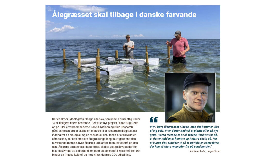 Eelgrass back in Danish waters: MUDP highlights our project in their annual report
